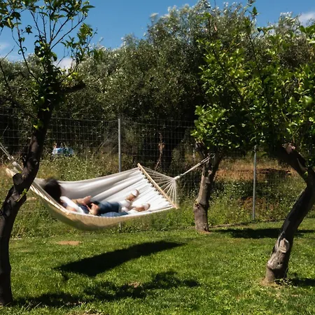 Dimitras * Lefkimmi (Corfu)