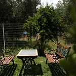 Dimitras * 莱夫基米