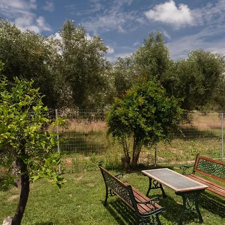 Dimitras
